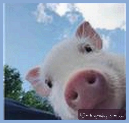 刘洋